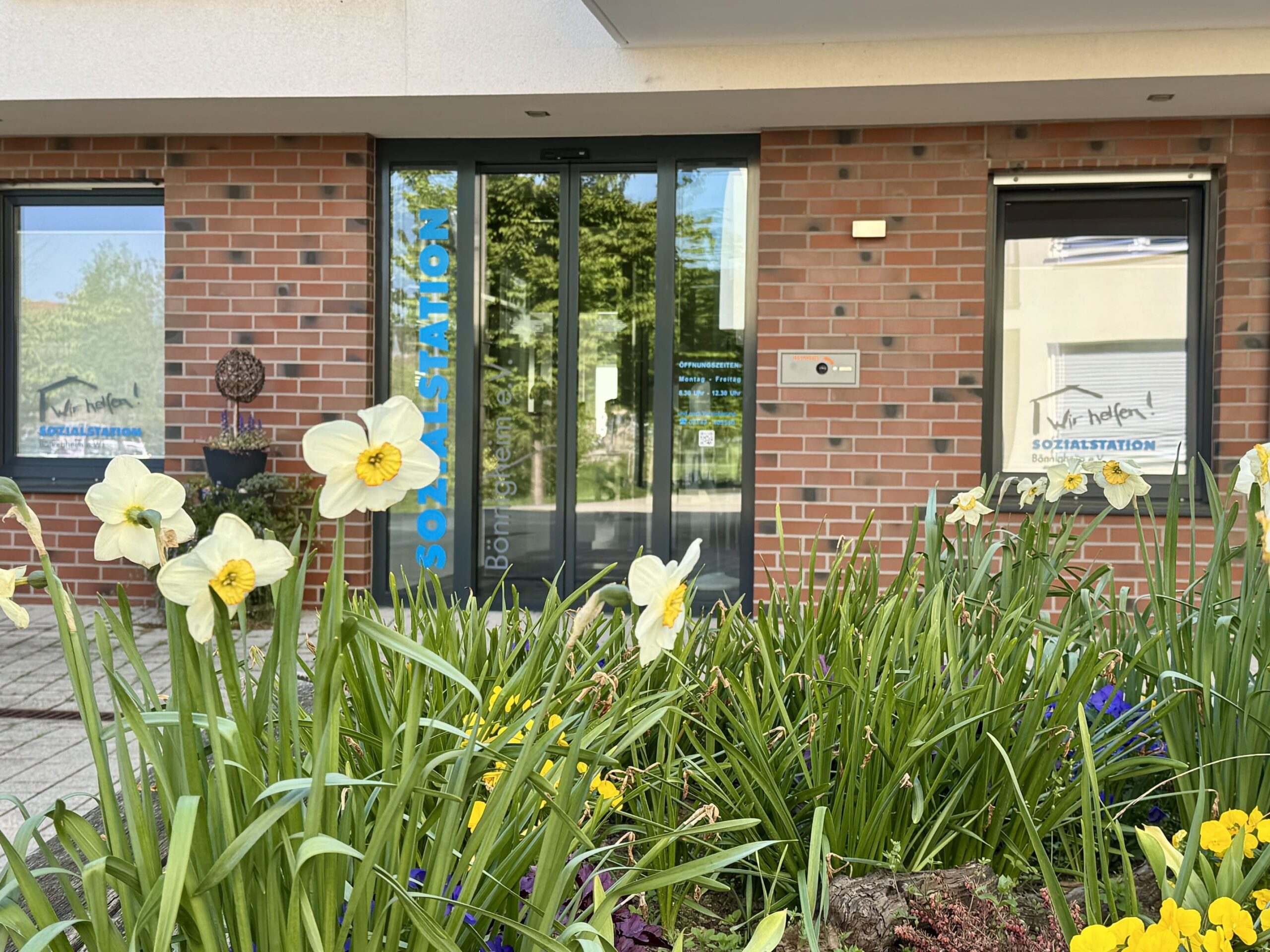 Eingangsbereich der Sozialstation Bönnigheim, im Vordergrund sind blühende Narzissen abgebildet