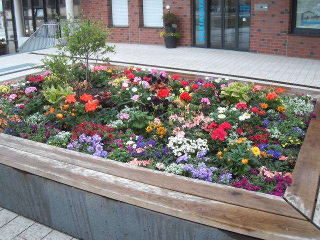 Beet mit verschiedenen bunten Blumen und einem kleinen Baum, umgeben von Holzrahmen und Pflastersteinen.